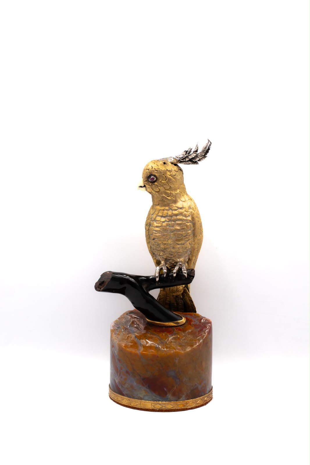cacatua_cotorra_rama