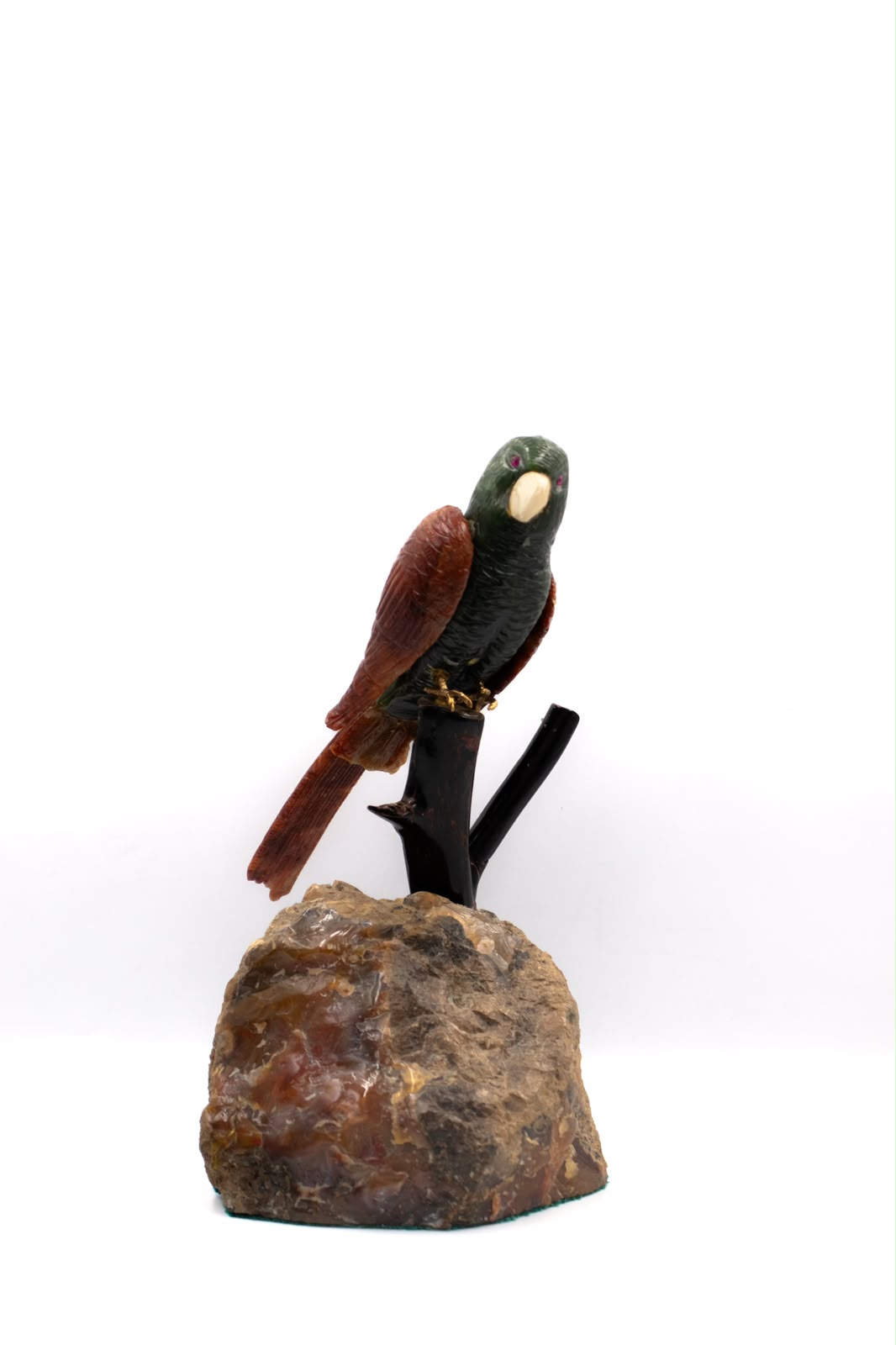 loro_perico_roca
